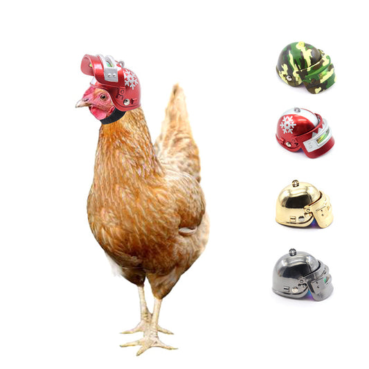 Creative New Pet Supplies Protection Chicken Helmet Hen Safety Hat Bird Hat Headgear